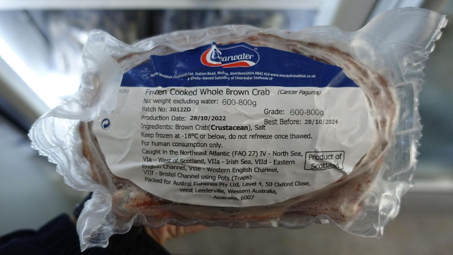 Cooked Brown Crab